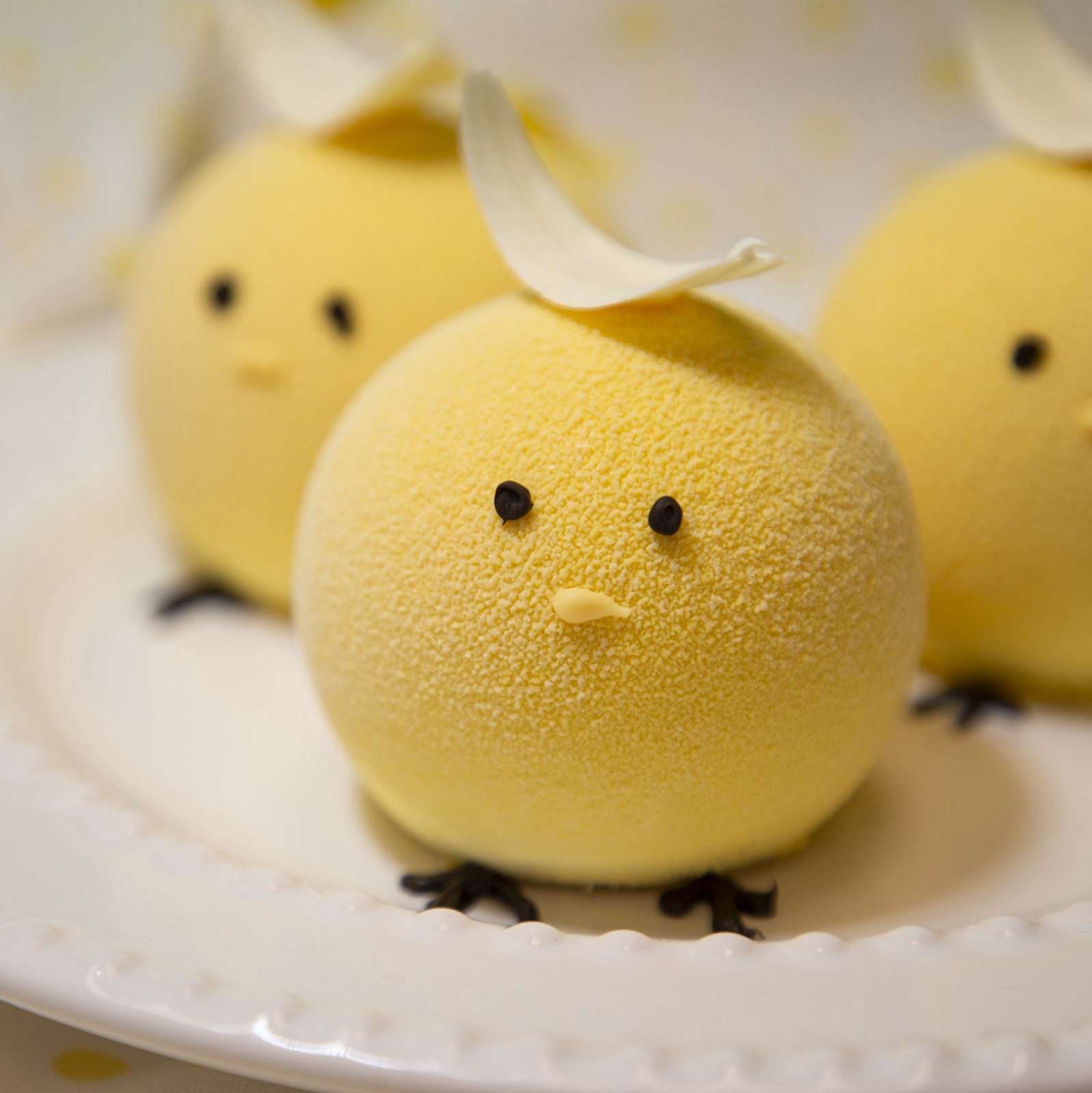 Yellow Chick Easter Bread & Macarons